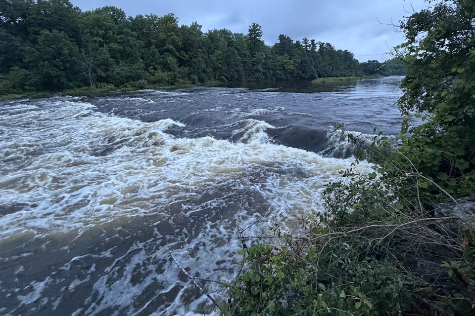 River rapids flowing past rocks and a forested shoreline.