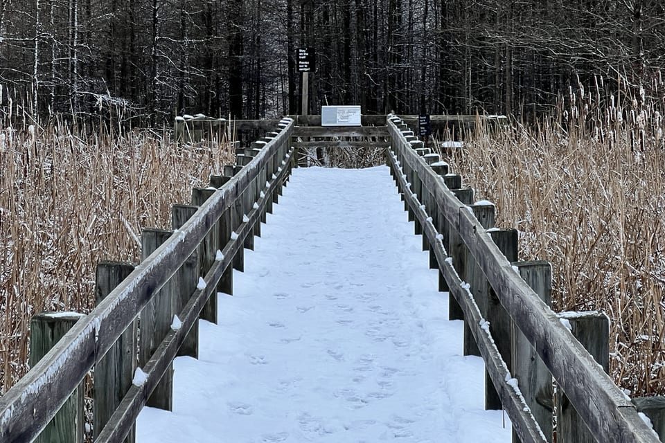 A wooden boardwalk crossing a snow-covered wetland.