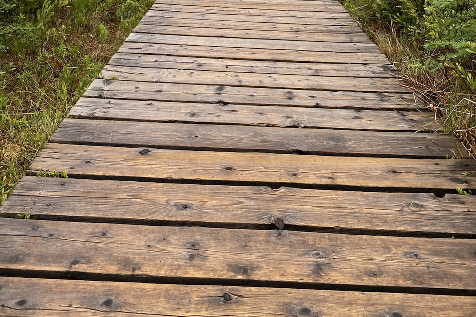 A wooden boardwalk extending through a green marsh.