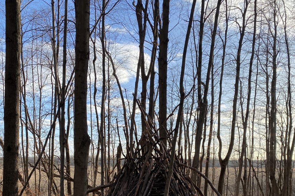 A small woodland shelter built among bare trees.